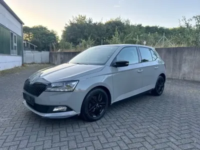 Gebraucht Skoda Fabia Monte Carlo 110 PS (80 kW) 2021 Grau Kleinwagen