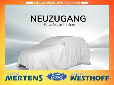 Usata Ford Fiesta Active 125 CV (91 kW) 2019 Grigio Utilitaria
