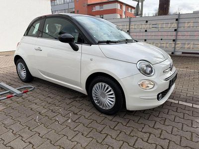 Gebraucht Fiat 500 69 PS (50 kW) 2019 Weiß Kleinwagen