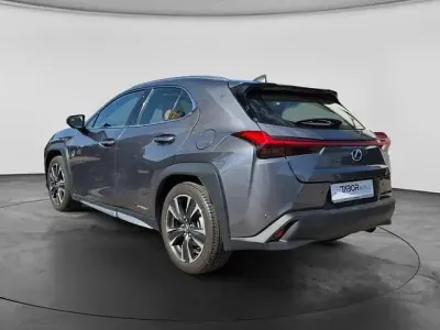 Gebraucht Lexus UX Luxury Line 178 PS (130 kW) 2019 Mercury grey metallic mercury grey metallic SUV