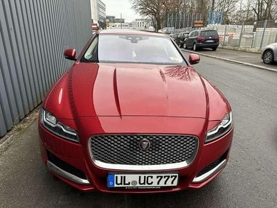 Gebraucht Jaguar XF Portfolio 300 PS (220 kW) 2017 Rot Limousine