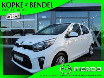 Weiß Gebraucht 2020 Kia Picanto DREAM-TEAM Edition Kleinwagen | 12.270 € (Fairer Preis)
