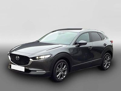 Gebraucht Mazda CX-30 Selection 179 PS (131 kW) 2020 Grau SUV