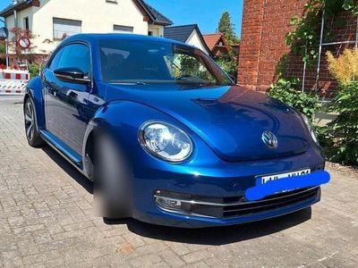 VW Beetle