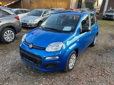 Neu Fiat Panda 69 PS (50 kW) 2025 Blau Kleinwagen