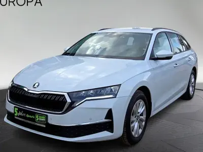 Usado Skoda Octavia Selection 150 CV (110 kW) 2025 Blanco Familiar