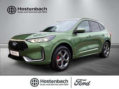 Gebraucht Ford Kuga ST-Line X 242 PS (177 kW) 2024 Gruen SUV