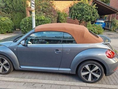 VW Beetle