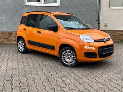 gebraucht Fiat Panda 1.2 Easy **PDC**KLIMA**DAB+**