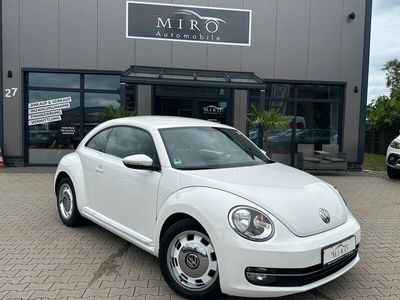 VW Beetle