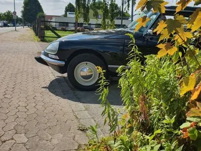 Gebraucht Citroën DS 82 PS (60 kW) 1970 Schwarz Limousine