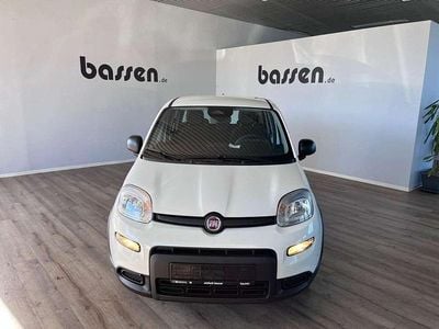Gebraucht Fiat Panda 69 PS (50 kW) 2024 Gelato weiss Kleinwagen