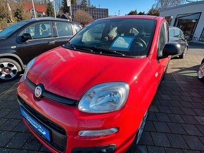 Gebraucht Fiat Panda Easy 69 PS (50 kW) 2017 Amore rot Kleinwagen