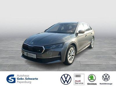 Grau Gebraucht 2024 Skoda Octavia Selection Kombi | 36.550 € (Teuer)