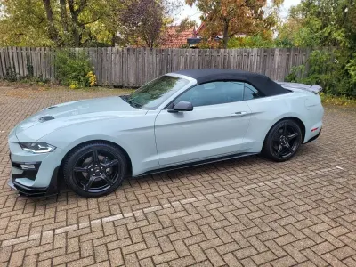 Gebraucht Ford Mustang 315 PS (231 kW) 2019 Grau