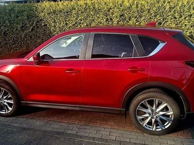 Usata Mazda CX-5 194 CV (142 kW) 2020 Rosso SUV
