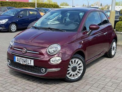 Usata Fiat 500 Lounge 69 CV (50 kW) 2016 Viola Utilitaria
