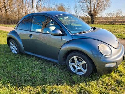 VW Beetle