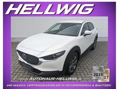 Purweiss Gebraucht 2021 Mazda CX-30 Selection SUV | 20.880 € (Guter Preis)