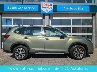Gebraucht Subaru Forester