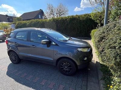 Brugt Ford Ecosport Titanium 112 HK (82 kW) 2017 Grå SUV