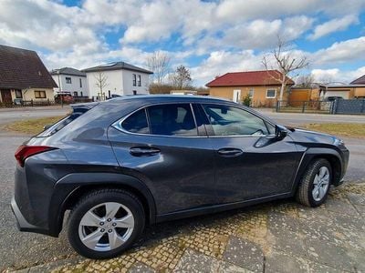 Brugt Lexus UX 250h 184 HK (135 kW) 2023 Grå SUV