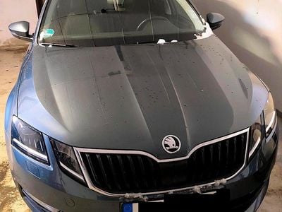 Gebraucht Skoda Octavia 190 PS (139 kW) 2019 Grau Kombi