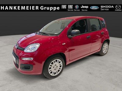 Neu Fiat Panda Icon 65 PS (47 kW) 2026 Rot Kleinwagen