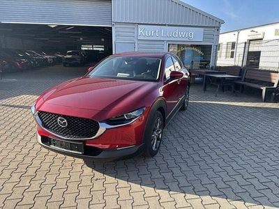 Gebraucht Mazda CX-30 Selection 186 PS (136 kW) 2022 Magmarot SUV