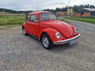 gebraucht VW Käfer Sondermodel Samtrot 1200 H-Zulassung Service TÜV Neu