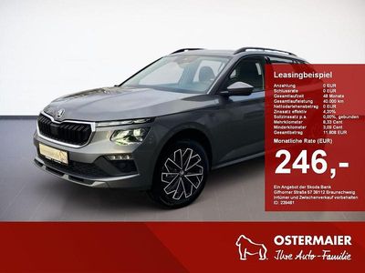 Graphitegrau Neu 2025 Skoda Kamiq Tour SUV | 30.380 € (Etwas zu teuer)