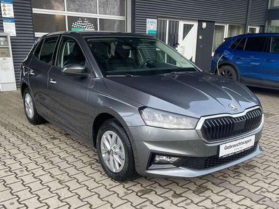 Neu Skoda Fabia Selection 95 PS (69 kW) 2025 Graphite grau Kleinwagen