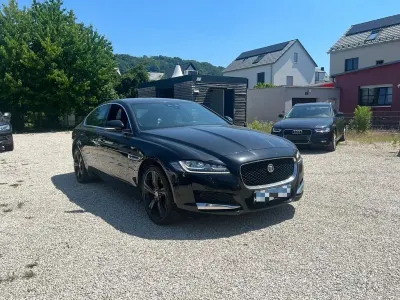 Gebraucht Jaguar XF Chequered Flag 241 PS (177 kW) 2019 Schwarz Limousine
