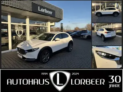 Second-hand Mazda CX-30 Selection 122 CP (89 kW) 2021 Alb SUV