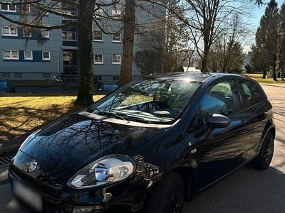 Usata Fiat Punto Young 69 CV (50 kW) 2015 Nero Utilitaria