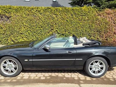 Gebraucht Jaguar XK8 284 PS (208 kW) 2021 Schwarz Cabrio