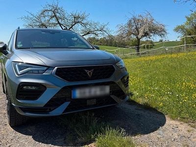 Usata Cupra Ateca 300 CV (220 kW) 2024 Grigio SUV