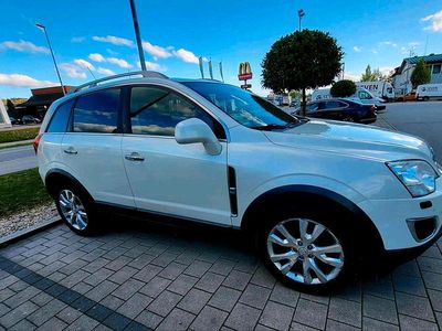 Usata Opel Antara 184 CV (135 kW) 2012 Bianco SUV