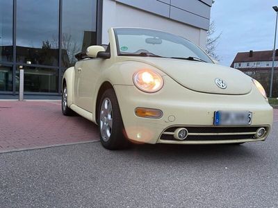 gebraucht VW Beetle 