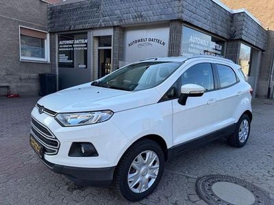 Gebraucht Ford Ecosport Trend 125 PS (91 kW) 2017 Weiß SUV