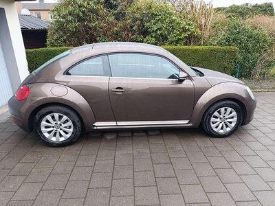 Gebraucht VW Beetle Design 105 PS (77 kW) 2014 Braun Kleinwagen
