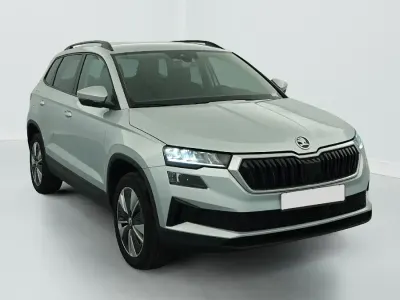 Gebraucht Skoda Karoq Business Line 116 PS (85 kW) 2024 Grau (gris argent) SUV