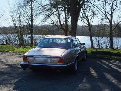 Gebraucht Jaguar XJ S 264 PS (194 kW) 1985 Gold Limousine