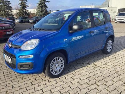Gebraucht Fiat Panda Icon 69 PS (50 kW) 2025 Blau Kleinwagen