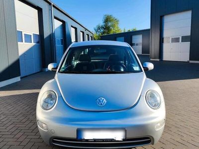 VW Beetle