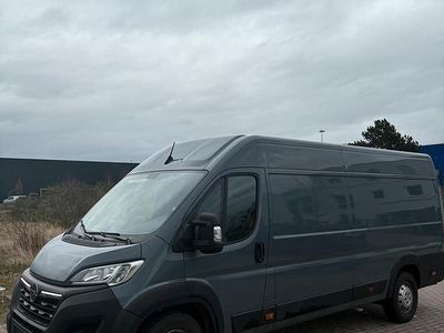Gebraucht Opel Movano 140 PS (102 kW) 2024 Grau Van
