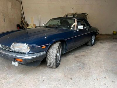 gebraucht Jaguar XJ12 