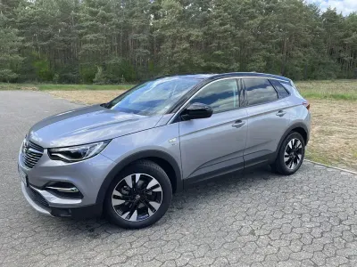 Gebraucht Opel Grandland X 131 PS (96 kW) 2019 Grau SUV