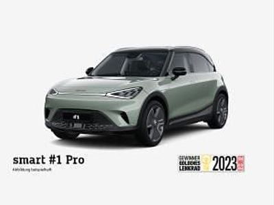 Neu Smart #1 Edition #1 200 kW (272 PS) 2025 Grün (dach schwarz // weitere farben möglich) SUV