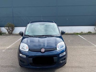 gebraucht Fiat Panda 